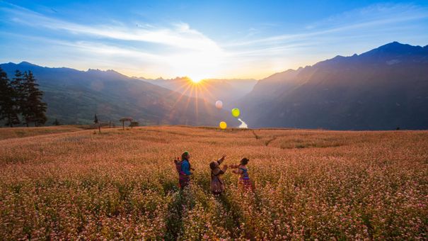 Rủ Nhau Ngắm Tam Giác Mạch Ở Suối Thầu Hà Giang