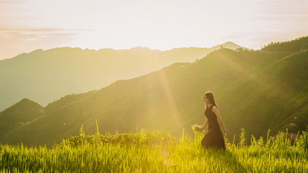 Check-In Ruộng Bậc Thang Xím Vàng Gần Yên Bái