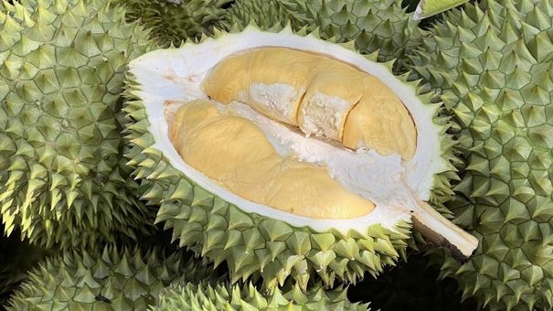 Thái Lan chi hơn 3.000 tỷ đồng mua rau quả Việt