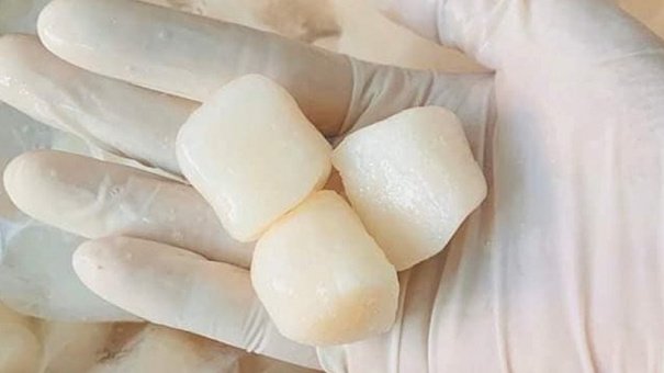 Cồi sò điệp Nhật giá rẻ ồ ạt vào Việt Nam
