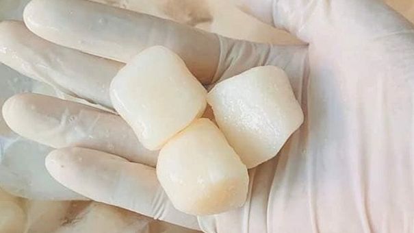 Cồi sò điệp Nhật giá rẻ ồ ạt vào Việt Nam