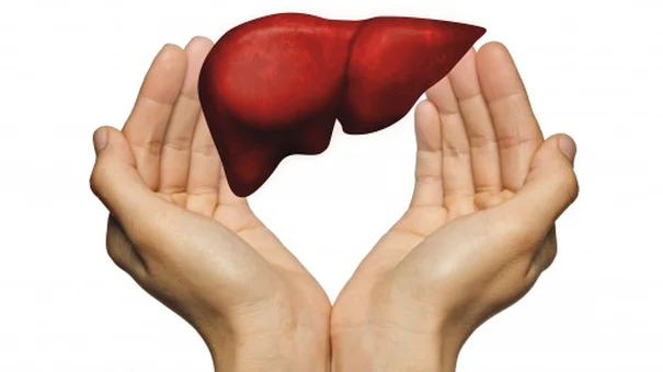 Đây Là 7 Loại Thực Phẩm Hỗ Trợ Thải Độc Gan