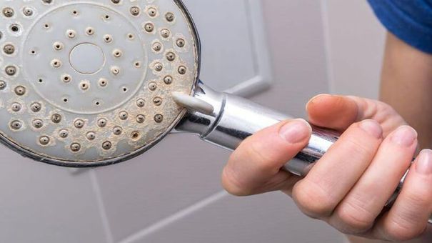 Đây Là Những Ổ Vi Khuẩn Tiềm Tàng Trong Gia Đình Bạn