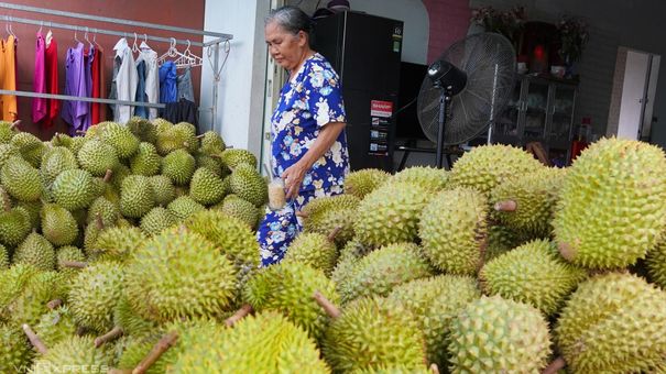 Trung Quốc chi hơn 3 tỷ USD nhập khẩu rau quả Việt Nam