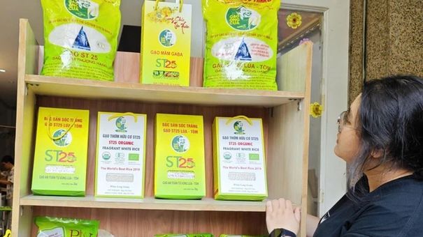 Gạo ST25 tăng giá bất thường từ đầu tháng 9