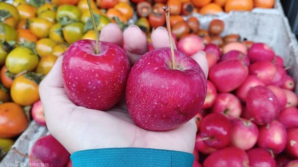 Táo cherry Trung Quốc 'gắn mác' Hàn Quốc, Australia