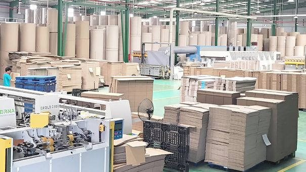 Kinh doanh thùng carton có thể tăng vọt nhờ thương mại điện tử