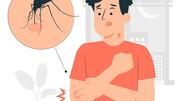 Phương Pháp Phòng Tránh Muỗi Đốt Bạn Nên Biết