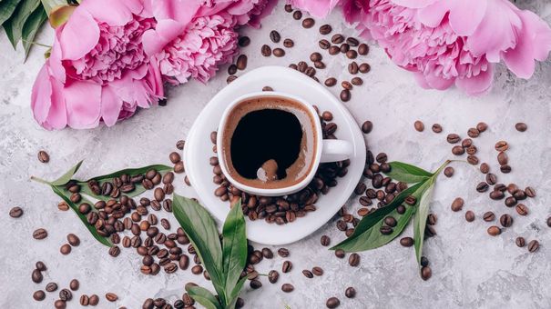 Bã cà phê có tác dụng gì với làn da?