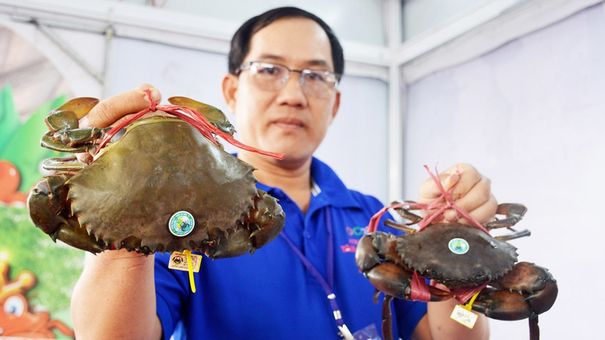 Trung Quốc chi tỷ USD mua thủy sản Việt