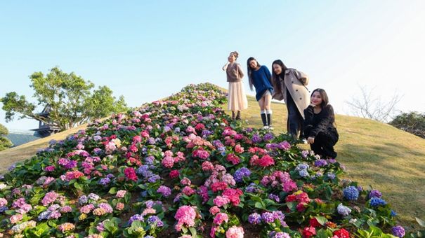 Những trải nghiệm không nên bỏ lỡ vào mùa xuân ở Sun World Ha Long