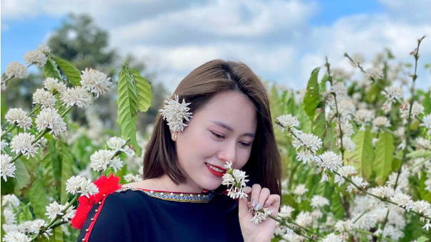 Tây Nguyên Đẹp Hơn Khi Vào Mùa Hoa Cà Phê Trắng Muốt Đầu Xuân