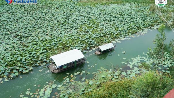 Chọn tour trải nghiệm giúp bảo tồn thiên nhiên tại Tràm Chim