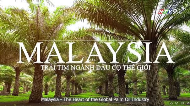Khám phá câu chuyện dầu cọ từ Malaysia!