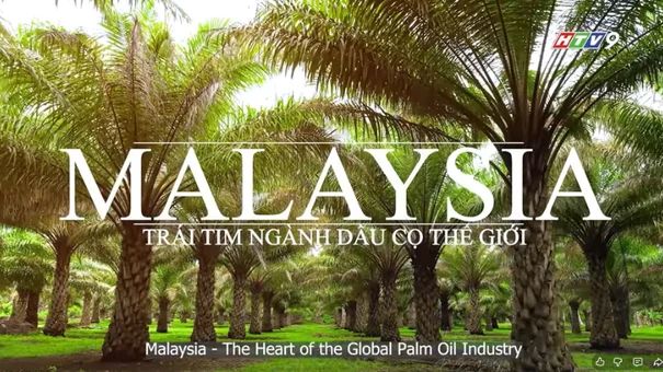 Khám phá câu chuyện dầu cọ từ Malaysia!