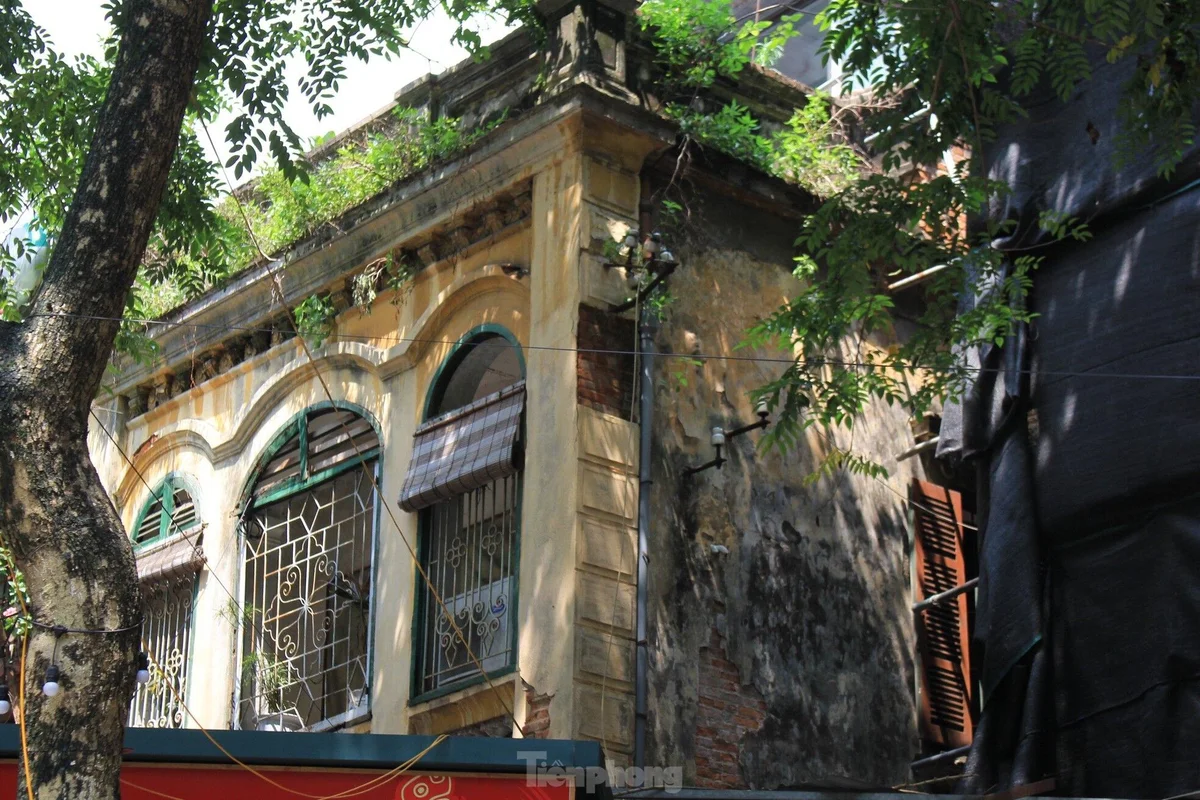 tp-net-dep-biet-thu-ha-noi15-2942.jpg