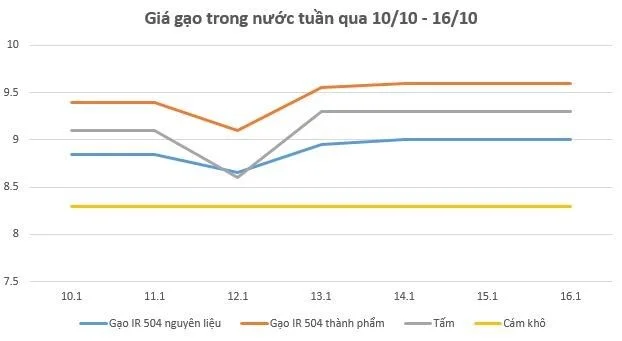 gia-gao-tuan-21020221015195437.jpg?rt=20221015195437