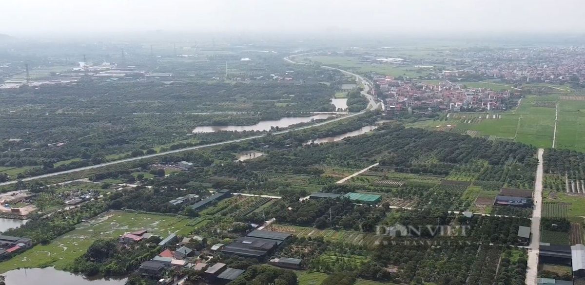Vành đai 4