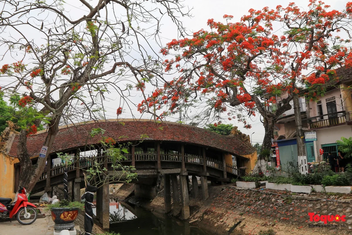Vẻ đẹp của cây cầu ngói trên 500 tuổi tại Nam Định - Ảnh 12. Vẻ đẹp của cây cầu ngói trên 500 tuổi tại Nam Định - Ảnh 12.
