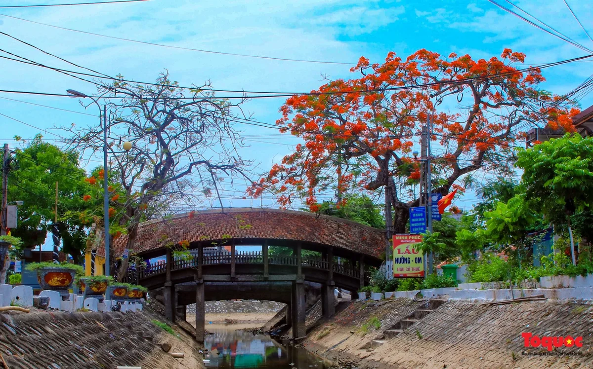 Vẻ đẹp của cây cầu ngói trên 500 tuổi tại Nam Định - Ảnh 1. Vẻ đẹp của cây cầu ngói trên 500 tuổi tại Nam Định - Ảnh 1.