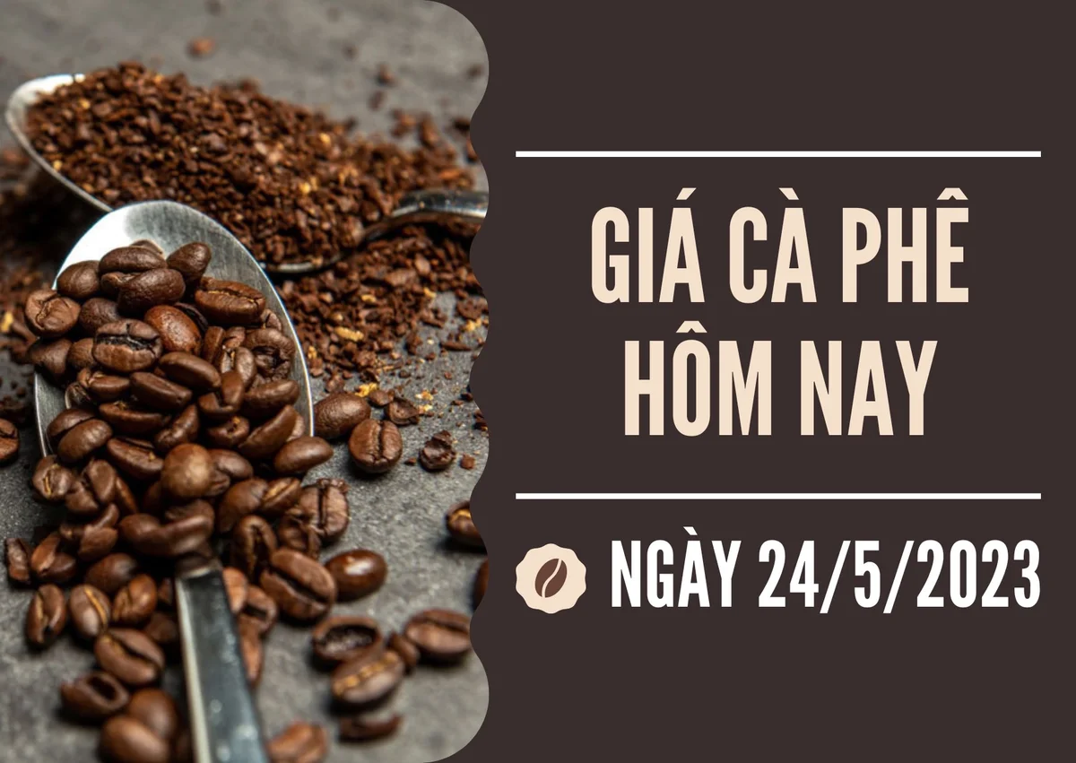 Giá cà phê hôm nay