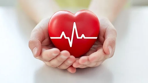Chạy Bộ Cho Sức Khỏe Tim Mạch Và Một Số Điều Bạn Chưa Biết
