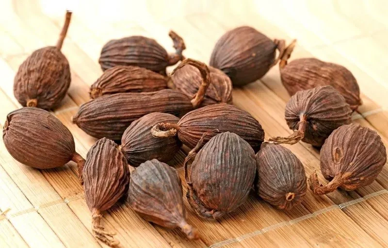 thao-qua-la-gi-tac-dung-cua-thao-qua-thao-qua-dung-lam-gi-2-800x511-1712496113690-1712496114231402540618.jpg